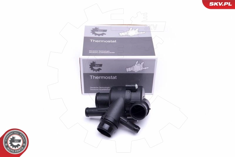 Thermostat, coolant